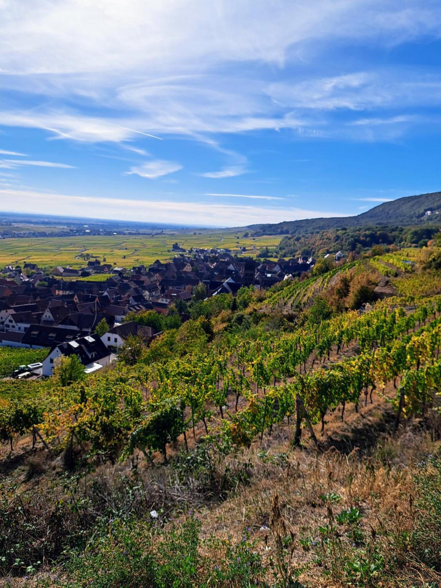 Grand Gite Dans Maison Alsacienne Historique Gueberschwihr Bagian luar foto